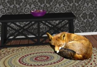 Sleeping Fox Room escape