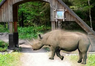A rhino magically appears by the bridge in Mysterious Forest game.
