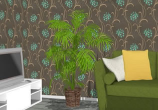 This house plant is a favorite by the lady of the house in Green Plant Room Escape game.
