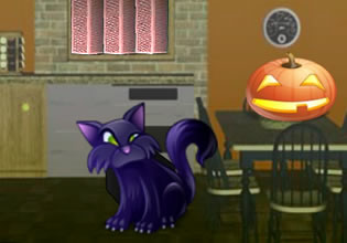 The family cat hates the pumpkin on the table in Halloween Home Escape 3 game.
