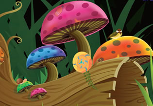 In the Forest Fairy Tale game, different kinds of mushrooms are growing everywhere.