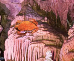 The Forgotten Cave 2