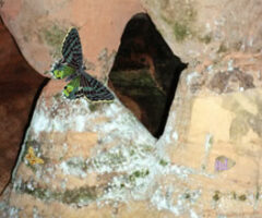 The Forgotten Cave 3