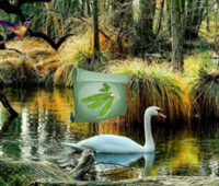 Mystic Sunset Forest