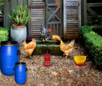 Poultry Farm Easter Escape