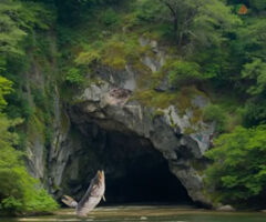 The Forgotten Forest