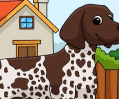 Dogs Spot The Differences