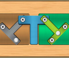 Wood Screw Puzzle
