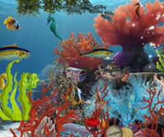 Underwater Secret