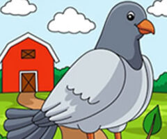Spot Differences: Bird Adventure