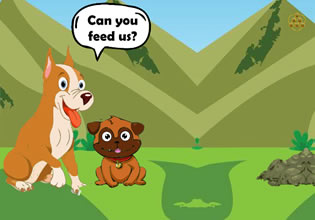 Give Meal To Hungry Dogs