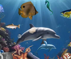 Magical Coral Reef