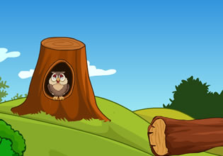 silent-valley-forest-escape-game