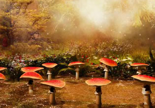 fantasy-flower-world-escape-game