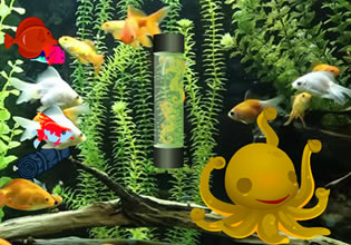 Прохождение игры flower horn fish escape