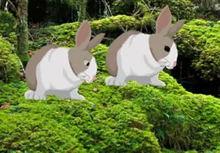 Rabbit Forest - Escape Fan