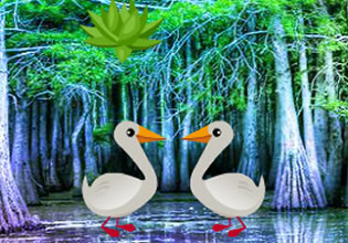 duck-forest-escape-game