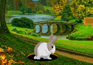 lake-way-boy-rescue-game