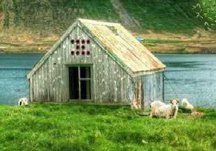 great-valley-goat-rescue-game