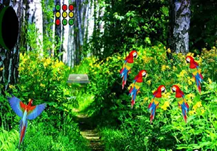 macaw-green-forest-escape-game