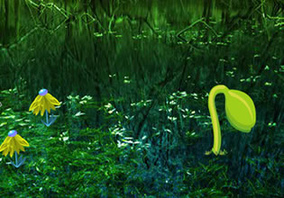 fireflies-night-forest-escape-game