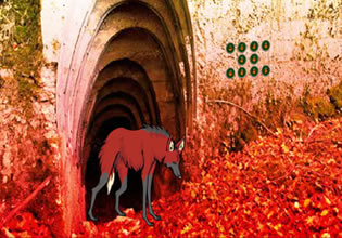 red-wolf-forest-escape-game