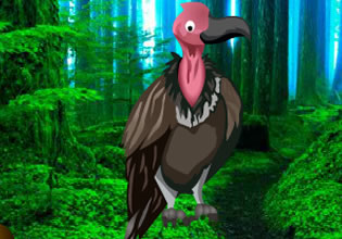 vulture-forest-escape-game