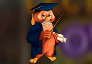 lecturer-owl-escape-game