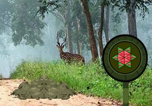 rat-escape-from-greenery-forest-game