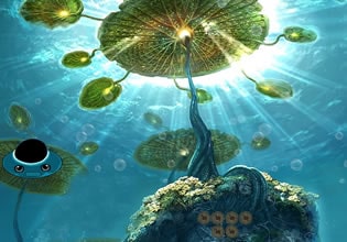 star-fish-family-escape-game