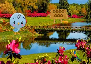 escape-from-delightful-scenery-game