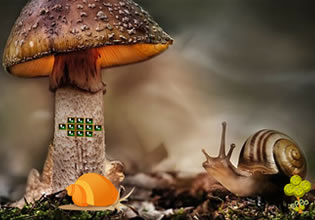 fantasy-snail-land-escape-game