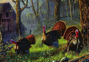 rescue-the-turkey-king-game