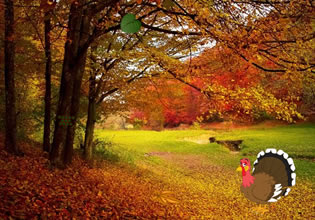 turkey-autumn-forest-escape-game