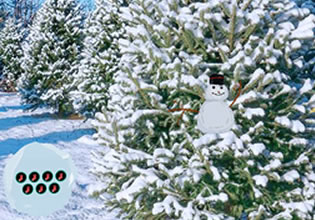 christmas-star-way-out-escape-game