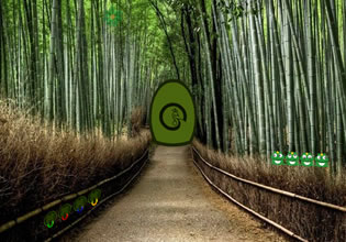 japanese-forest-squirrel-escape-game