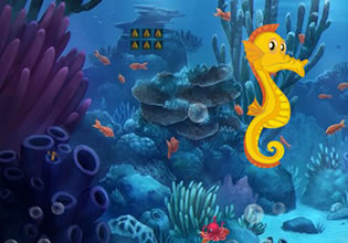 sea-horse-pair-escape-game
