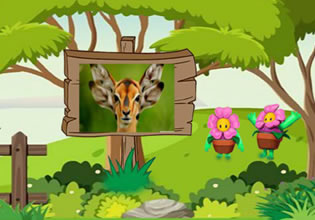 squirrel-escape-games-2-mad-game