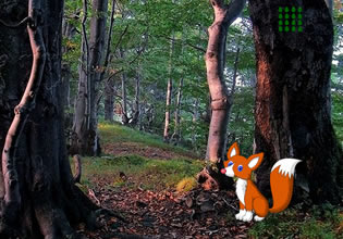 enchanted-mossy-green-forest-escape-game