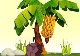 banana-wallpaper-land-escape-game