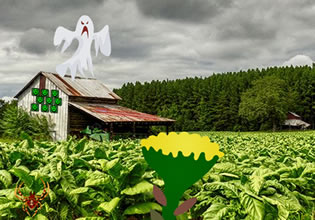 ghost-mountain-village-escape-game