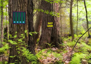 help-the-red-squirrel-game