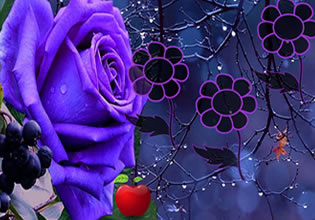 precious-rose-escape-game