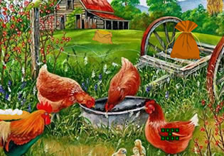 save-the-hen-family-game