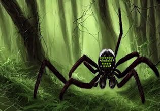 spider-web-nature-forest-escape-game