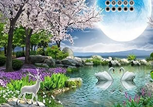 swan-love-escape-game
