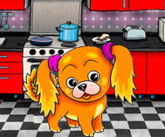 Doggi
